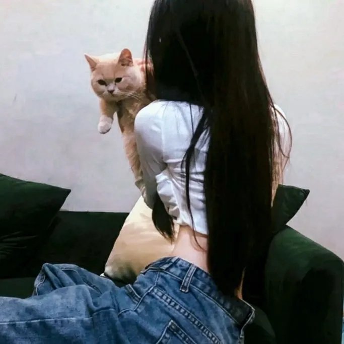 云端之上